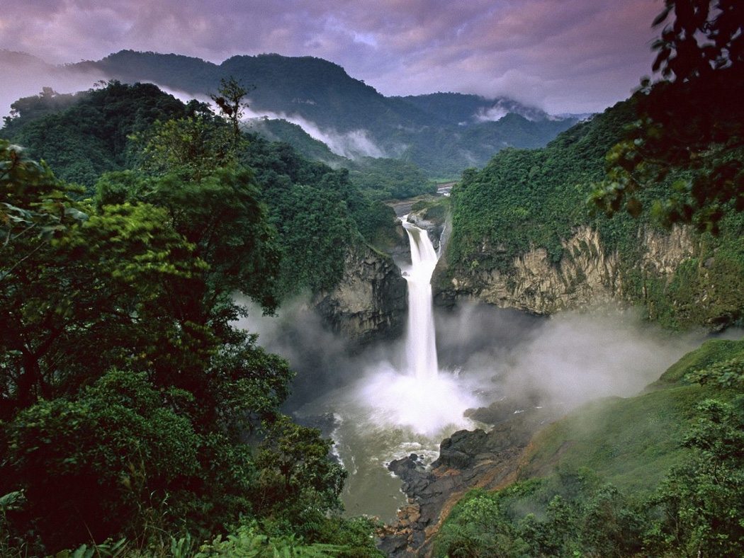 Risultati immagini per foresta dell'amazzonia